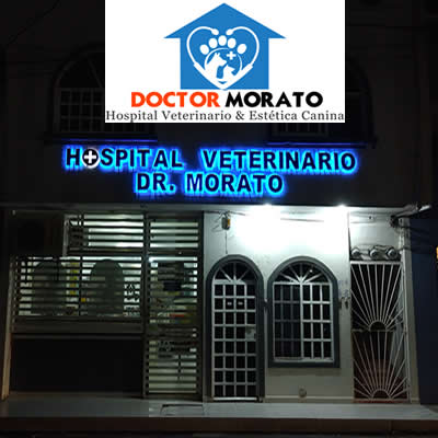 Hospital Veterinario Dr. Morato